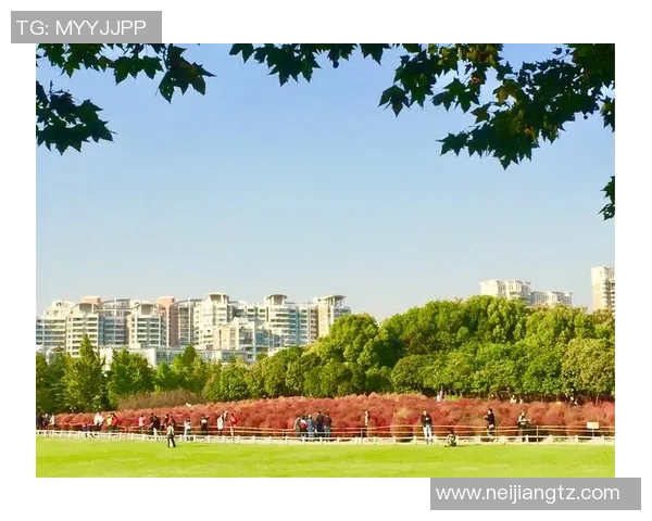 张昊:从平凡到卓越的奋斗历程与人生感悟分享 张昊:从平凡到卓越的奋斗历程与人生感悟分享
