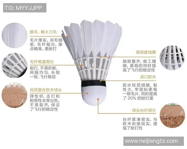 南京羽毛球队进攻战术解析与深度剖析助力羽毛球竞技水平提升
